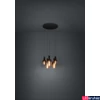 Kép 5/6 - Eglo 390267 Huebro függeszték, fekete, E27 foglalattal, max. 5x40W, IP20