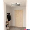 Kép 4/5 - Eglo 900465 Siberia mennyezeti lámpa, fekete, 4600 lm, 3000K-6500K szabályozható, beépített LED, 34W, IP20