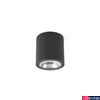 Kép 1/3 - FARO GOZ kültéri mennyezeti lámpa, szürke, 3000K melegfehér, beépített LED, 8W, IP65, 70575