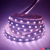 Kép 6/10 - 24V RGBW, RGB+NW 4000K SMD LED szalag, 5050, beltéri 60 LED/m, 20W/m