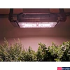 Kép 8/11 - Ledium Black Sparkle® növényvilágító LED modul, teljes spektrumú, IP65, 140°, 55W, 128 µmol, tápegység nélkül, max. 1200 mA CC 