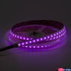 Kép 2/2 - 24V RGBW IP65 LED szalag - 360 LED | 15W | 650  lm/méter,RGB+CRI90 4000K, 5m tekercsben, szilikon csőben