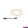 Kép 1/8 - Paulmann 94557 Plug&Shine kültéri fényfűzér, IP44, fekete, 3000K melegfehér, 146 lm, IP44