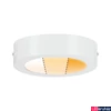 Kép 2/5 - Paulmann 79790 Carpo LED panel, 170 mmx170 mm, kerek, 3-step-dim to warm, fehér, 2300K-3000K változtatható, beépített LED, 1200 lm, IP20