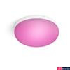 Kép 1/3 - Philips Hue Flourish mennyezeti LED lámpa, White and Color Ambiance, 32,5W, 2250lm, RGBW 2000-6500K, 8719514343504