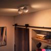 Kép 4/4 - Philips Hue Buckram fehér spotlámpa, 2 spotfejjel, White Ambiance, 2x5,5W, 700lm, 2200-6500K változtatható fehér, 2xGU10 LED fényforrás + DimSwitch, 8719514339064