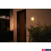 Kép 3/3 - Philips Hue Daylo kültéri inox fali/mennyezeti lámpa, White and Color Ambiance, 15W, 1050lm, RGBW 2000-6500K, IP44, 1746547P7