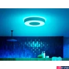 Kép 4/5 - Philips Hue Xamento L fehér fürdőszobai mennyezeti LED lámpa, White and Color Ambiance, 52,5W, 3700lm, RGBW 2000-6500K, IP44 + DimSwitch, 4116831P9