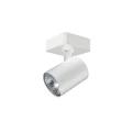 Azzardo Exo mennyezeti lámpa, fehér, GU10, 1x8W, AZ-3194