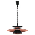 Eglo 31666 Brenda 1 ágú függeszték, fekete, E27 foglalattal, max. 1x60W, IP20