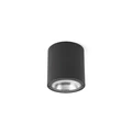 FARO GOZ kültéri mennyezeti lámpa, szürke, 3000K melegfehér, beépített LED, 8W, IP65, 70575