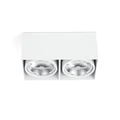 FARO TECTO-2 mennyezeti lámpa, fehér, G53 foglalattal, IP20, 63276