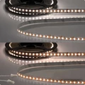 AmpSystem 12V LED szalag, 14W/m, változtatható CCT 1900K-4000K, CRI92, 1500lm/m, 10mm széles, 240LED/m, 2,5m hosszú, 2 oldalán csatlakozóval, IP20