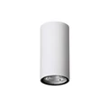 Nova Luce CECI kültéri mennyezeti lámpa, fehér, 3000K melegfehér, beépített LED, 1x3W, 230 lm, 9220021