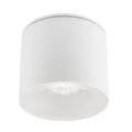 Nowodvorski HEXA kültéri mennyezeti lámpa, fehér, GU10 foglalattal, 1x35W, TL-9564