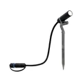 Paulmann 93997 Plug&amp;Shine Plantini leszúrható LED kerti lámpa, 24V, 2,5W, 3000K, 90 lm, antracit, 45°, IP65