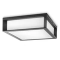 Philips Skies kültéri mennyezeti lámpa, E27 foglalattal, max. 2x42W, 8719514385320
