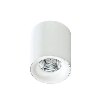 Azzardo Mane mennyezeti lámpa, fehér, 3000K melegfehér, beépített LED, 10W, 850 lm, AZ-2845