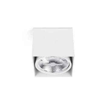 FARO TECTO-1 mennyezeti lámpa, fehér, G53 foglalattal, IP20, 63274