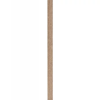 tölgy