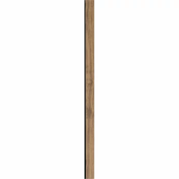 tölgy