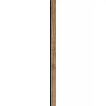 tölgy