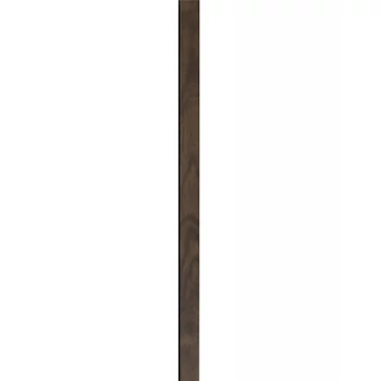 dió
