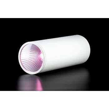 Ledium Plantoled beltéri 25W függesztett LED növényvilágító lámpa, 25°, teljes spektrumú