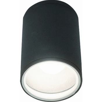 Nowodvorski FOG kültéri mennyezeti lámpa, szürke, E27 foglalattal, 1x42W, TL-3403