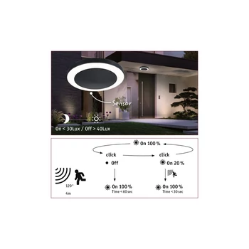 Paulmann 94526 Outdoor Circula kültéri mennyezeti lámpa, antracit, 3000K melegfehér, 880 lm, IP44