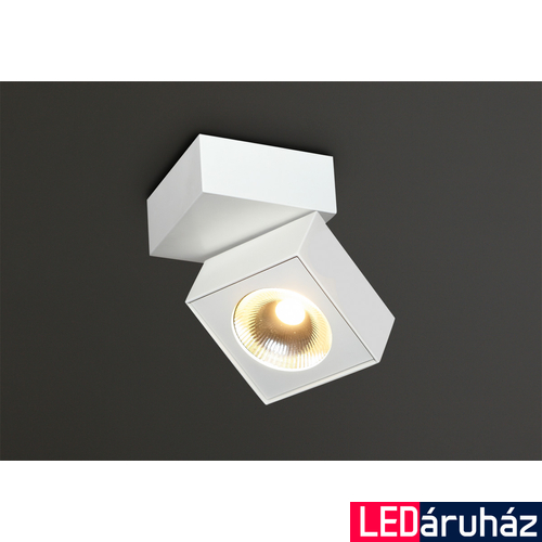 Maxlight ARTU mennyezeti lámpa, fehér, 3000K melegfehér, beépített LED, 1000 lm, 1x15,4W, MAXLIGHT-C0106