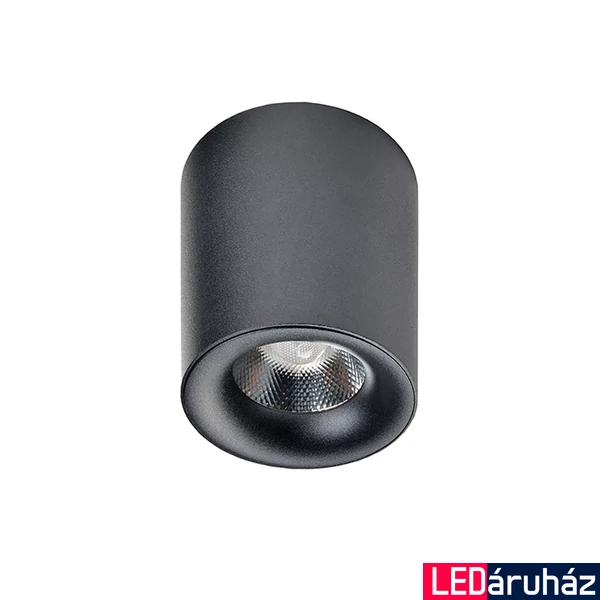 Azzardo Mane mennyezeti lámpa, fekete, 3000K melegfehér, beépített LED, 10W, 850 lm, AZ-2844
