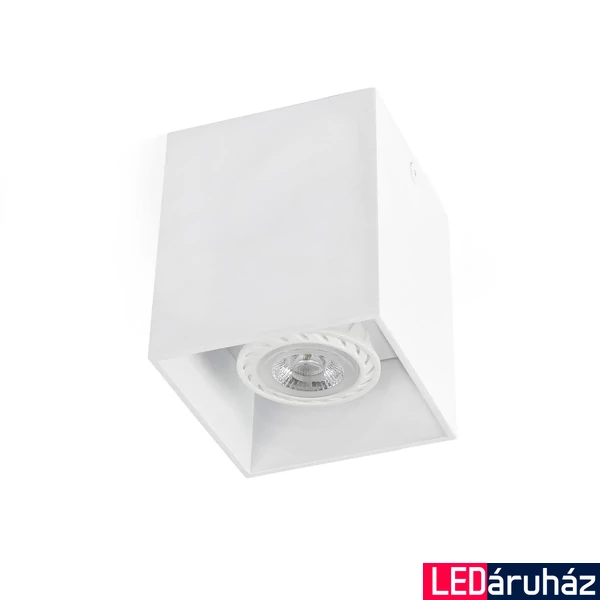 FARO TECTO-1 mennyezeti lámpa, fehér, GU10 foglalattal, IP20, 63270