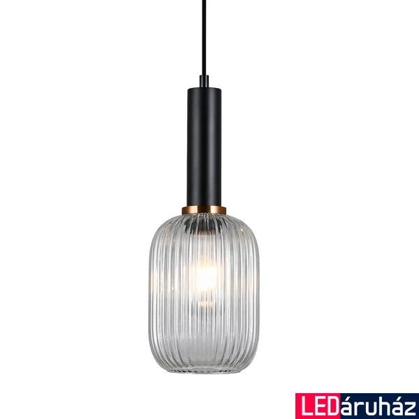 ITALUX ANTIOLA áttetsző burával 1 ágú függeszték fekete, E27, IT-PND-5588-1M-BK+CL