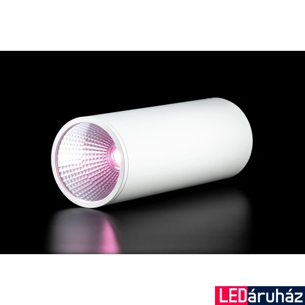 Ledium Plantoled beltéri 25W függesztett LED növényvilágító lámpa, 25°, teljes spektrumú