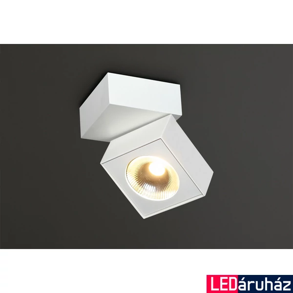 Maxlight ARTU mennyezeti lámpa, fehér, 3000K melegfehér, beépített LED, 1000 lm, 1x15,4W, MAXLIGHT-C0106