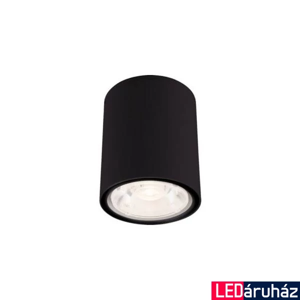 Nowodvorski EDESA kültéri mennyezeti lámpa, fekete, Beépített LED, 1x6W, 370 lm, TL-9107