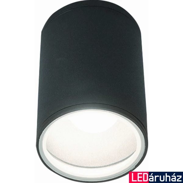 Nowodvorski FOG kültéri mennyezeti lámpa, szürke, E27 foglalattal, 1x42W, TL-3403