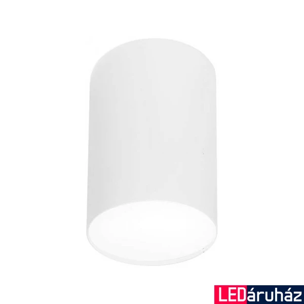 Nowodvorski POINT PLEXI mennyezeti lámpa, fehér, E27 foglalattal, 1x20W, TL-6528