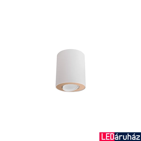 Nowodvorski SET mennyezeti lámpa, fehér, GU10 foglalattal, 1x10W, TL-8896