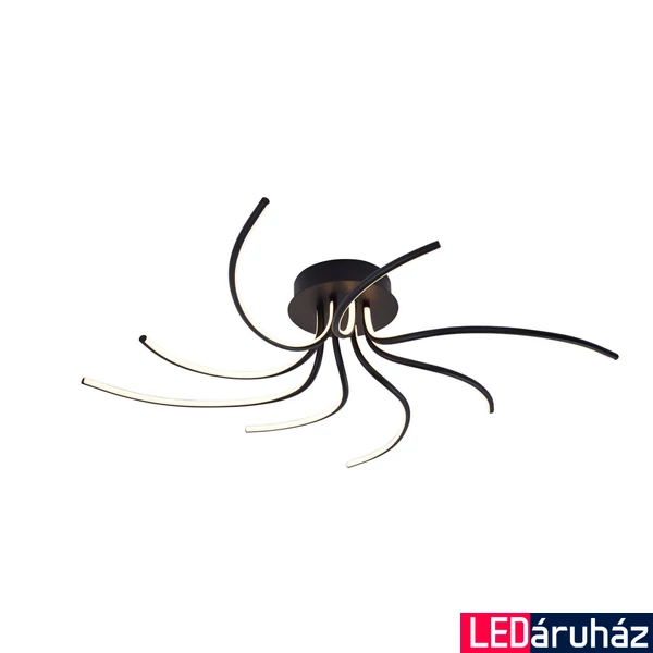Zuma Line Diogo LED mennyezeti lámpa, fekete, 3000K melegfehér, Beépített LED, 1x36W, 1350 lm, ZU-2200012-BK