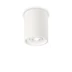 IDEAL LUX OAK gipsz mennynezeti lámpa GU10 foglalattal, max. 35W, 13,5 cm átmérő, fehér 150420