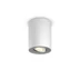 Philips Hue Pillar fehér mennyezeti spotlámpa, billenthető spotfejjel, White Ambiance, 1x5,5W, 350lm, 2200-6500K változtatható fehér, 1xGU10 LED fényforrás + DimSwitch, 8719514338487